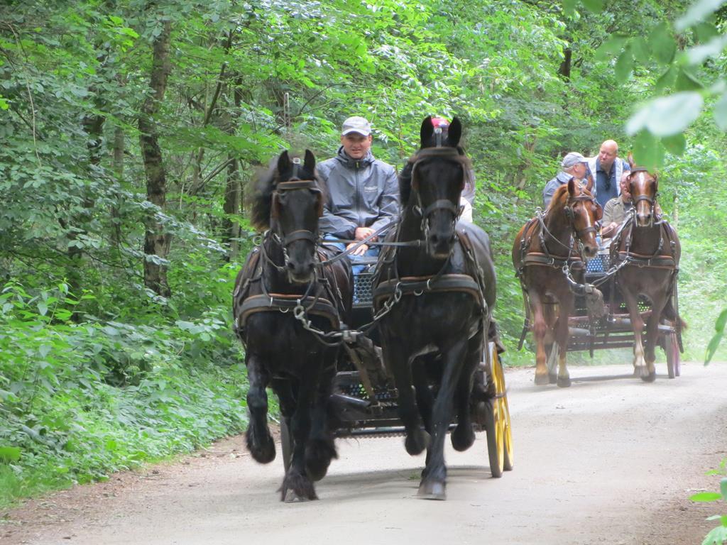 paarden-mennen-twente